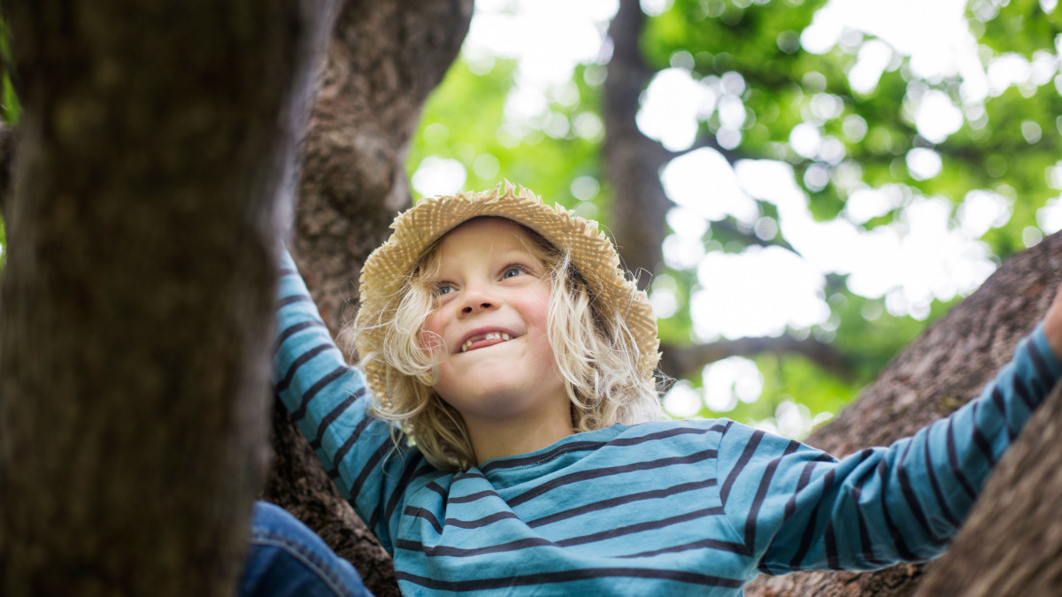 Lapsi istuu puun oksalla ja hymyilee katsoen ylöspäin.