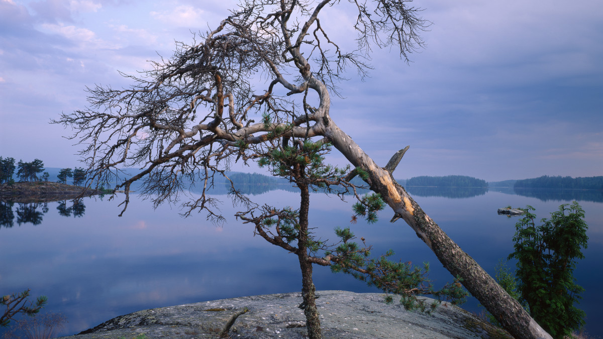 Photo of the landscape in Saimaa at dawn