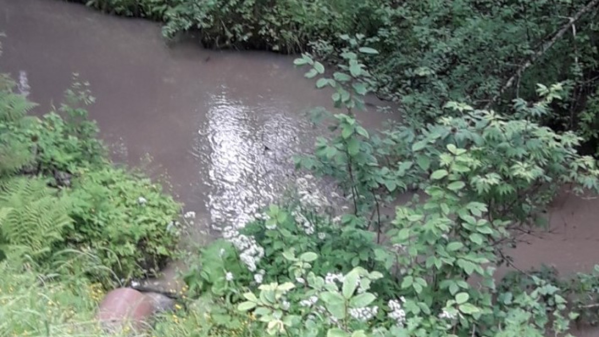 A small river and a pipe going down to it and vegetation