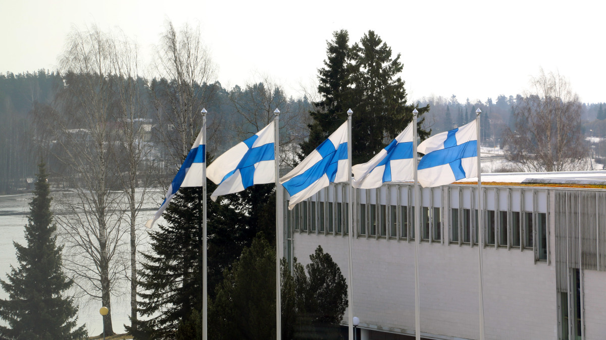 Финские флаги