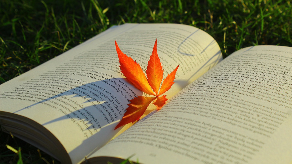 A maple leaf between an open book.