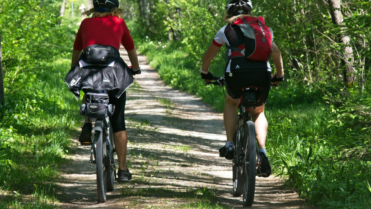 two people are cycling on a forest road
