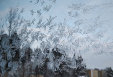 Frost on the window glass.
