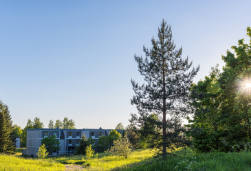 Blue sky, apartment building, trees and grass.