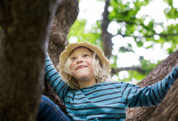 Lapsi istuu puun oksalla ja hymyilee katsoen ylöspäin.