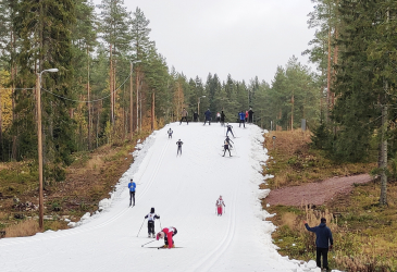 A track in the middle of a snowless forest, many skiers on the track.