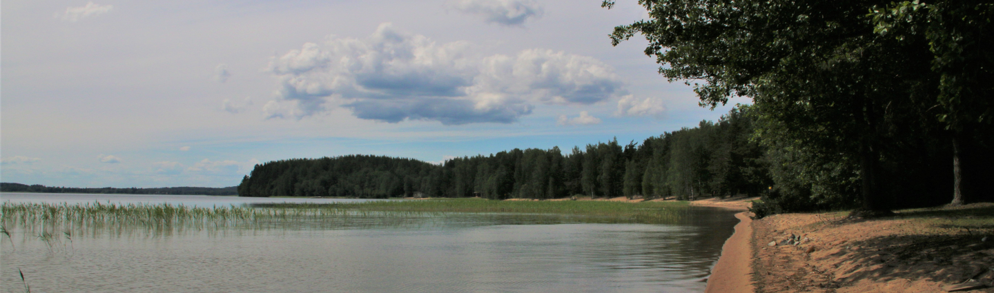 Picture from the shore of Immolanjärvi in ​​Huhtasenkylä