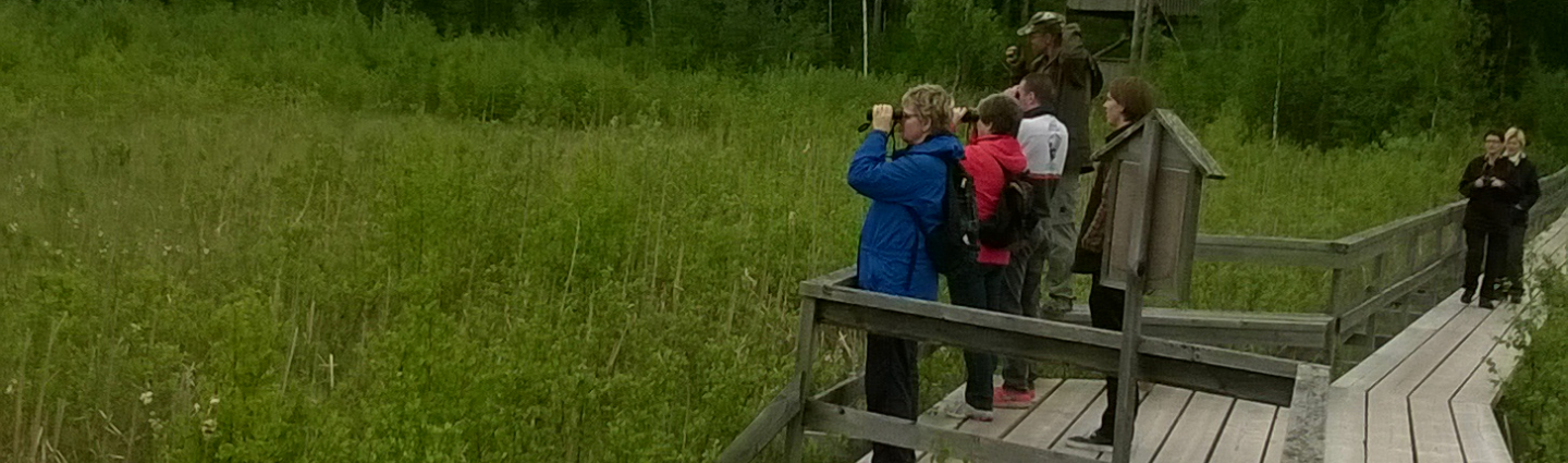 People watch the birds while standing in the longwoods of the wetland.