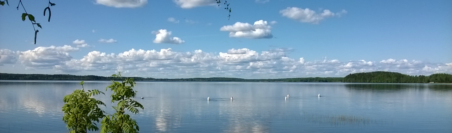 Summer lake landscape from Lake Immalanjärvi.