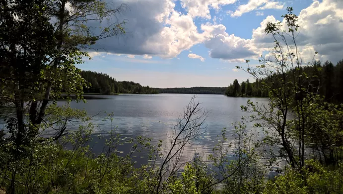 Озерный пейзаж с озера Пюхяярви в Карелии.