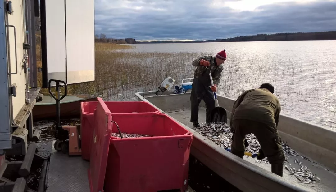 Kalastajia Pien-Rautjärvellä.